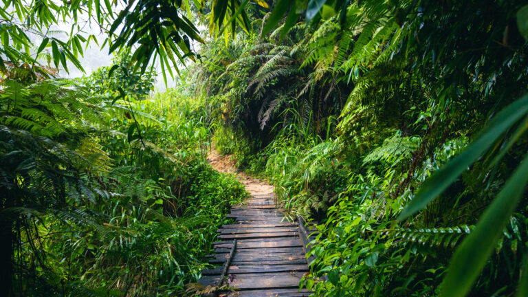 Aerial,View,Of,Surfers,Near,Hikkaduwa,Beach.,Hikkaduwa,,Sri,Lanka